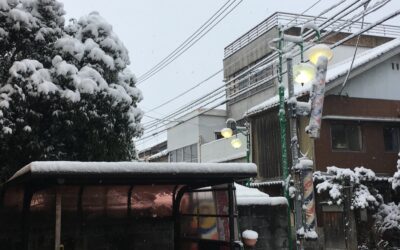 冬❄️に逆戻り